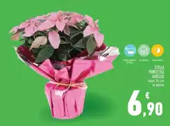 Stella - Princetta Stella - Princetta