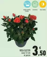 Rosa Glitter Rosa Glitter