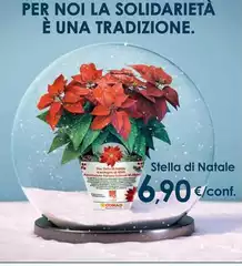 Conad - Stella Di Natale Conad - Stella Di Natale