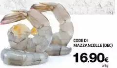 Code Di Mazzancolle (dec) Code Di Mazzancolle (dec)
