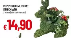 Composizione Cervo Muschiato Composizione Cervo Muschiato