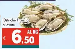 Francia - Ostriche Francia - Ostriche