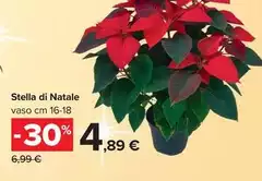 Stella - Di Natale Stella - Di Natale