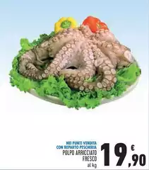 Polpo Arricciato Fresco Polpo Arricciato Fresco