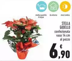 Stella - Gioiello Stella - Gioiello