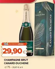 Brut - Champagne Brut - Champagne