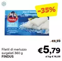 Findus - Filetti Di Merluzzo Surgelati Findus - Filetti Di Merluzzo Surgelati