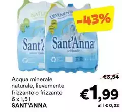 Sant'anna - Acqua Minerale Naturale, Lievemente Frizzante O Frizzante Sant'anna - Acqua Minerale Naturale, Lievemente Frizzante O Frizzante