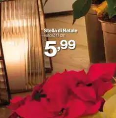 Stella - Di Natale Stella - Di Natale