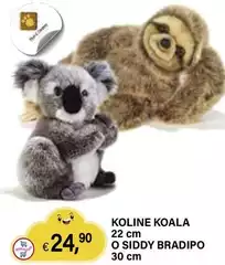 Koline Koala O Siddy Bradipo