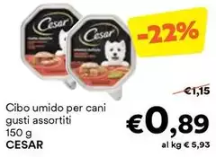 Cesar - Cibo Umido Per Cani Cesar - Cibo Umido Per Cani