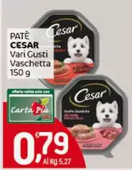 Cesar - Pate Cesar - Pate