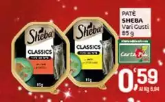 Sheba - Pate Sheba - Pate