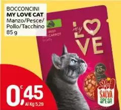 My Love Cat - Bocconcini My Love Cat - Bocconcini