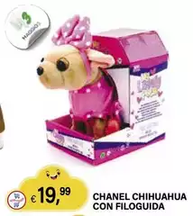 Chanel Chihuahua Con Filoguida