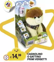 Cagnolino O Gattino Primi Versetti