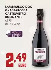 Rubinante - Lambrusco DOC Grasparossa Castelvetro Rubinante - Lambrusco DOC Grasparossa Castelvetro