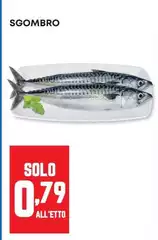 Solo - Sgombro Solo - Sgombro