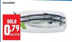 Solo - Sgombro Solo - Sgombro