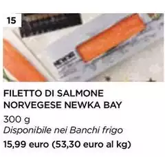 Bay - Filetto Di Salmone Norvegese Newka Bay - Filetto Di Salmone Norvegese Newka