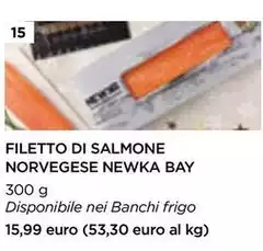Bay - Filetto Di Salmone Norvegese Newka Bay - Filetto Di Salmone Norvegese Newka