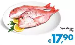 Pagro Allevato Pagro Allevato