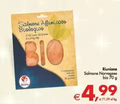 Riunione - Salmone Norvegese Riunione - Salmone Norvegese