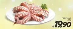Polpi Veraci Polpi Veraci