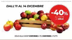 Solo - Dall'11 Al 14 Dicembre Solo - Dall'11 Al 14 Dicembre