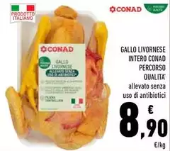 Conad - Percorso Qualita' Gallo Livornese Intero Conad - Percorso Qualita' Gallo Livornese Intero