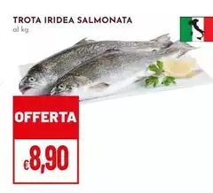 Trota Iridea Salmonata Trota Iridea Salmonata