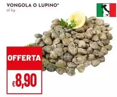 Vongola O Lupino Vongola O Lupino