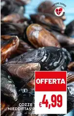 Cozze Niedditta's Cozze Niedditta's