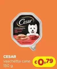 Cesar - Vaschetta Cane Cesar - Vaschetta Cane