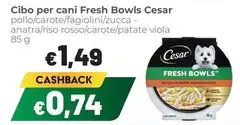 Cesar - Cibo Per Cani Fresh Bowls Cesar - Cibo Per Cani Fresh Bowls