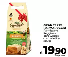 Parmareggio - Parmigiano Parmigiano Reggiano Oltre 22 Mesi Con Coltellino Parmareggio - Parmigiano Parmigiano Reggiano Oltre 22 Mesi Con Coltellino
