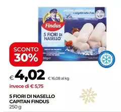 Findus - 5 Fiori Di Nasello