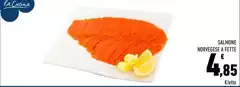 Salmone Norvegese A Fette Salmone Norvegese A Fette
