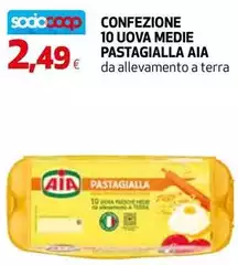 Aia - Confezione 10 Uova Medie Pastagialla