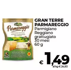 Granterre - Parmigiano Reggiano Grattugiato Granterre - Parmigiano Reggiano Grattugiato