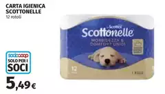 Scottonelle - Carta Igienica Scottonelle - Carta Igienica