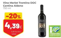 Trentino - Vino Merlot  DOC