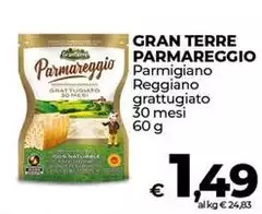 Gran Terre - Parmigiano Reggiano Grattugiato Gran Terre - Parmigiano Reggiano Grattugiato