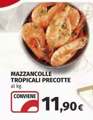 Mazzancolle Tropicali Precotte Mazzancolle Tropicali Precotte