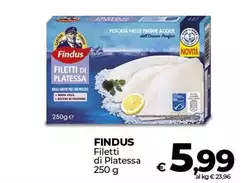 Findus - Filetti Di Platessa Findus - Filetti Di Platessa