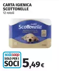 Scottonelle - Carta Igienica Scottonelle - Carta Igienica
