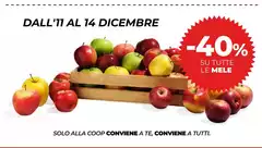 Solo - Dall'11 Al 14 Dicembre Solo - Dall'11 Al 14 Dicembre