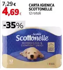 Scottonelle - Carta Igienica Scottonelle - Carta Igienica