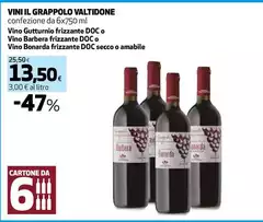 Riunite - Vino Lambrusco Riunite - Vino Lambrusco