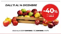 Solo - Dall'11 Al 14 Dicembre Solo - Dall'11 Al 14 Dicembre